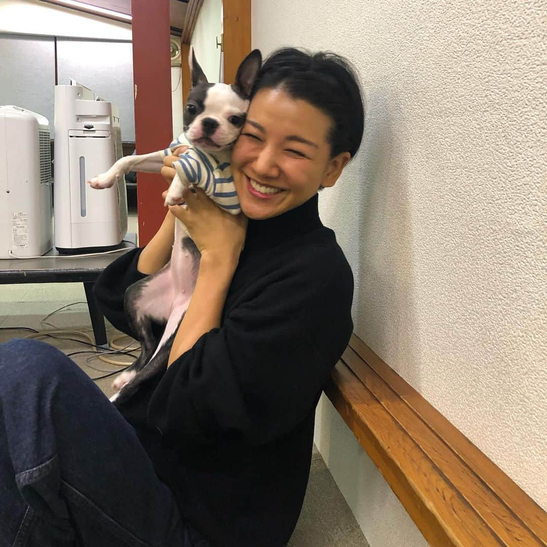 林家あずみさんのインスタグラム写真 - (林家あずみInstagram)「緊急事態宣言前にツナちゃん、トロちゃん、メジちゃんに会いに連れて行ってもらった幸せいっぱいに、癒されている写真をドドーン😂💕💕💕 可愛すぎる😍❤️❤️❤️ どうにかなりそうなくらい可愛い😍❤️❤️  #林家あずみ #ボストンテリア」1月14日 13時15分 - kurohime424