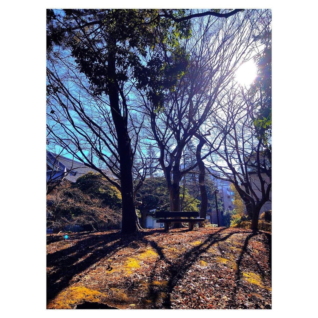 理絵さんのインスタグラム写真 - (理絵Instagram)「駅へ向かう途中に森林浴🍂  仕事以外で電車に乗る事は、ほぼ無いのですが…もう電車に乗るのがストレスで  換気のために窓を開けているのはありがたいけれど、その風に乗ってウイルスが私についたら😱とか  頭上から吹いてくる空調の風に乗って私にウイルスがついたら😱とか、もう考えすぎてクラクラしてくる🌀  そんな中、先日20代くらいのスーツを着た男性が電車に乗った途端にマスクを外し  ドアのガラス部分に映る自分の顔を色んな角度からチェックし髪の毛をぐちゃぐちゃ触りなが自分に陶酔してて  …意味がわからない、家でやってきてくれ😑  万が一、その人が咳やくしゃみをしたらと思うと不安で更にクラクラしてきて🌀すぐに車両をかえました  いつもと違う日常になってから人の良いところも悪いところも強く感じるようになった気がする  良いところは見習っていきたいな  #森林浴 #元宝塚 #宝塚og」1月14日 13時21分 - ____rie____