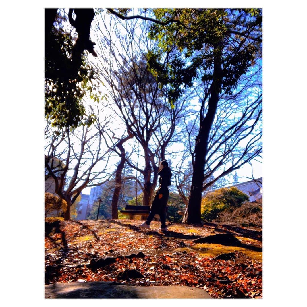 のインスタグラム：「駅へ向かう途中に森林浴🍂  仕事以外で電車に乗る事は、ほぼ無いのですが…もう電車に乗るのがストレスで  換気のために窓を開けているのはありがたいけれど、その風に乗ってウイルスが私についたら😱とか  頭上から吹いてくる空調の風に乗って私にウイルスがついたら😱とか、もう考えすぎてクラクラしてくる🌀  そんな中、先日20代くらいのスーツを着た男性が電車に乗った途端にマスクを外し  ドアのガラス部分に映る自分の顔を色んな角度からチェックし髪の毛をぐちゃぐちゃ触りなが自分に陶酔してて  …意味がわからない、家でやってきてくれ😑  万が一、その人が咳やくしゃみをしたらと思うと不安で更にクラクラしてきて🌀すぐに車両をかえました  いつもと違う日常になってから人の良いところも悪いところも強く感じるようになった気がする  良いところは見習っていきたいな  #森林浴 #元宝塚 #宝塚og」