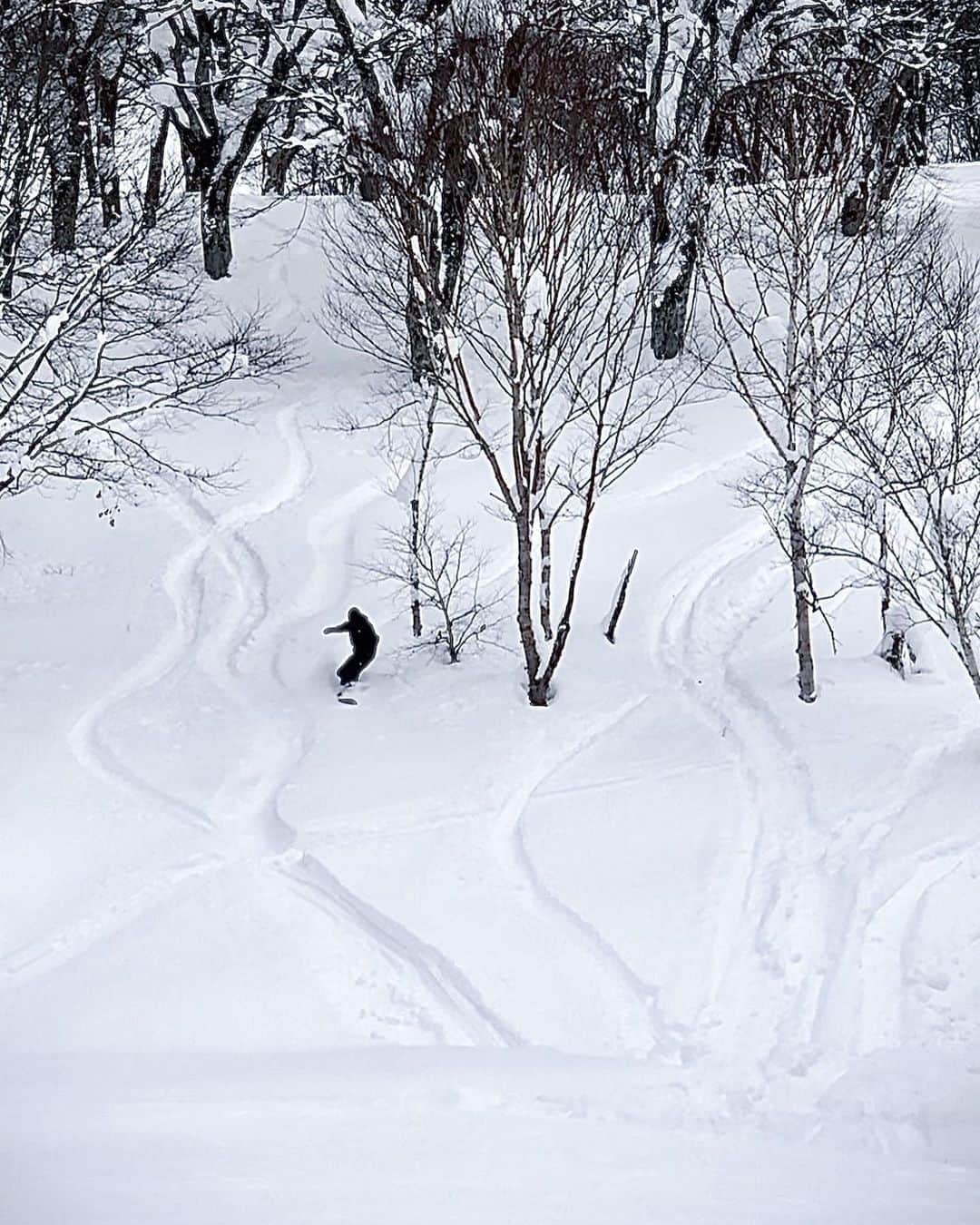 信太美月さんのインスタグラム写真 - (信太美月Instagram)「人生2回目のスノーボード🏂 上手すぎるみんなのことを見て、少しだけコツつかんだかも🤏感覚を忘れないうちにまた行きたいな。でもつぎは緊急事態宣言おわったらだね！それまで栄養とって免疫高めて💪 . #mizuki_funactivity  いつも時差投稿になっちゃう🤦‍♀️」1月14日 23時21分 - shidamizuki