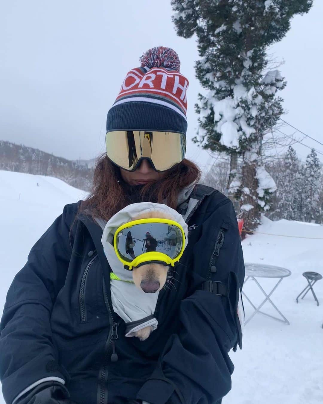 信太美月さんのインスタグラム写真 - (信太美月Instagram)「人生2回目のスノーボード🏂 上手すぎるみんなのことを見て、少しだけコツつかんだかも🤏感覚を忘れないうちにまた行きたいな。でもつぎは緊急事態宣言おわったらだね！それまで栄養とって免疫高めて💪 . #mizuki_funactivity  いつも時差投稿になっちゃう🤦‍♀️」1月14日 23時21分 - shidamizuki