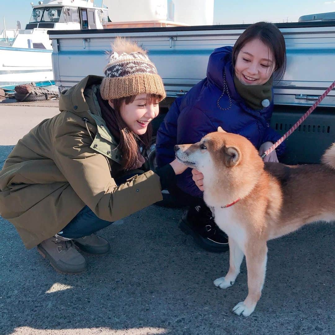 トリンドル玲奈さんのインスタグラム写真 - (トリンドル玲奈Instagram)「かわいいかわいいちびちゃん🐶  かわいかったー🧡」1月14日 23時16分 - toritori0123