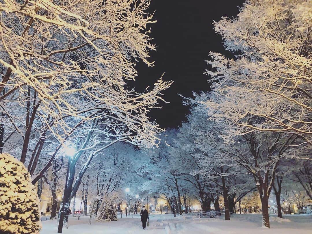 堀内大輝のインスタグラム：「❄️ . 思いのほか反響があったので… 投稿にも失礼します📸 きのうの幻想的な雪景色。  こんなご時世、きれいな写真撮れるだけでも 心が穏やかになります。 皆さんにもほっこりしていただければ…  #雪 #大通公園 #写真 #snow #雪景色 #カメラ」