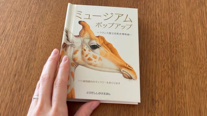 英玲奈のインスタグラム：「#飛び出す絵本  #しかけ絵本  娘に買ってあげた様に見えますが、これは自分のw  これを見つけた時、叫びそうになった！！  昔仕事でパリに行った時、 １日自由時間があって行った博物館。 #パリ自然史博物館  すんばらしい博物館でした。 動物マニアの私は心が震えました。 ノアの方舟？って思った。 沢山の動物の剥製があるの。 剥製を見るのはかなり複雑な気持ちなんだけど、 一人一人感謝の気持ちを伝えながら隅々まで見せてもらいました。  そんな、自然史博物館の飛び出す絵本が売っていたの！ 去年出たばかりだそうで、私が行った時には売ってなかったの。 娘が寝ている間に少しずつ読もう。 #大人の絵本」