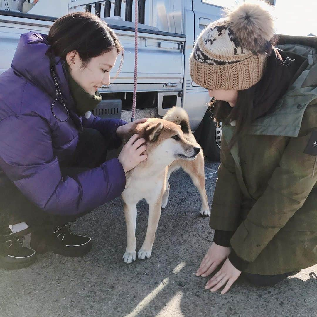 トリンドル瑠奈さんのインスタグラム写真 - (トリンドル瑠奈Instagram)「チビちゃん🐶＆トリちゃんず🐥  可愛くて2人でひたすらなでなでしてました❣️」1月14日 23時52分 - tori_luna0310