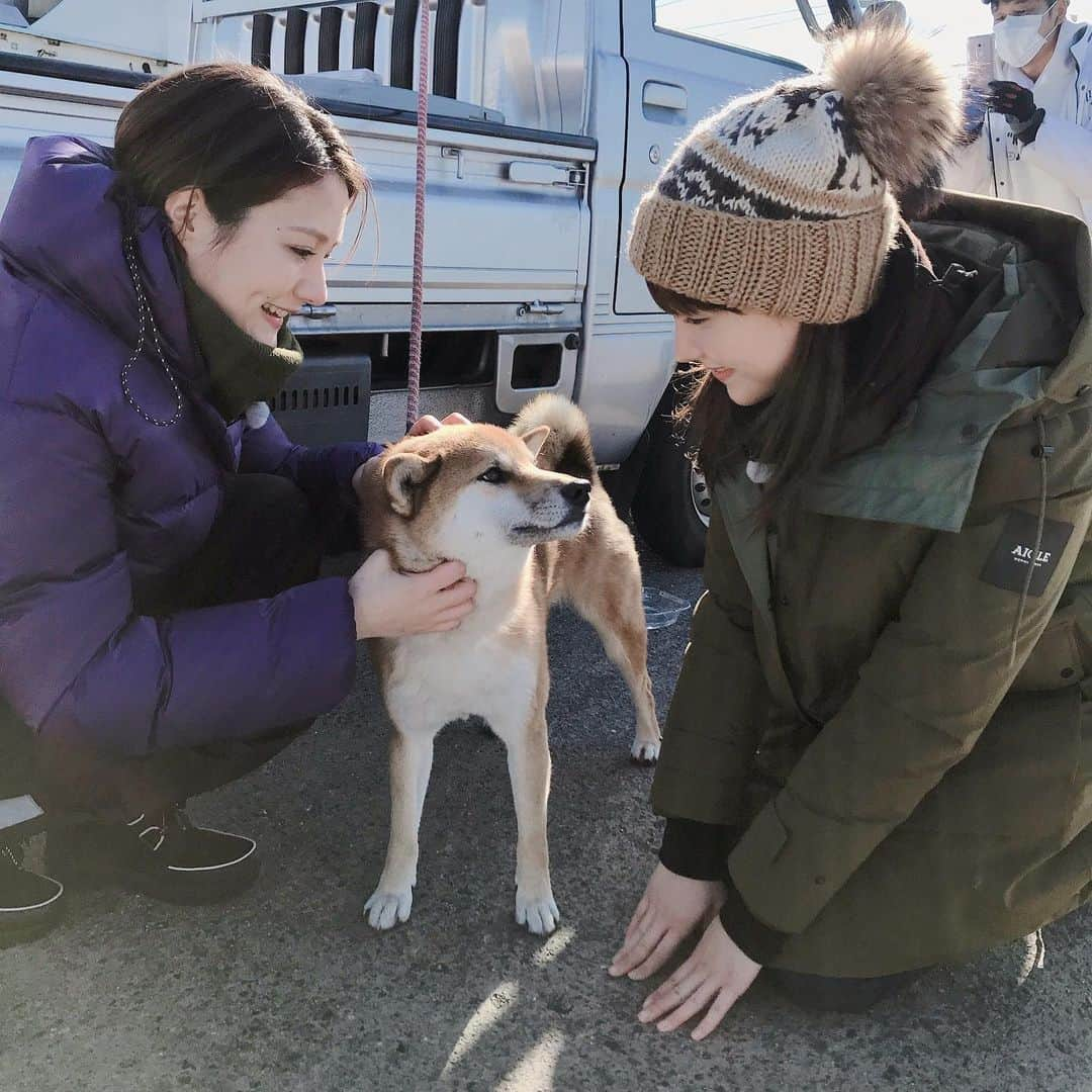 トリンドル瑠奈さんのインスタグラム写真 - (トリンドル瑠奈Instagram)「チビちゃん🐶＆トリちゃんず🐥  可愛くて2人でひたすらなでなでしてました❣️」1月14日 23時52分 - tori_luna0310