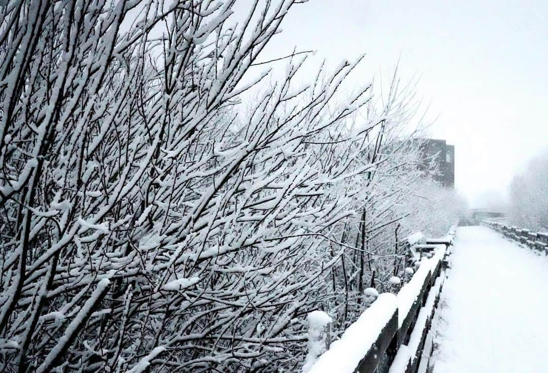 イリース・ケロンド・ナイトさんのインスタグラム写真 - (イリース・ケロンド・ナイトInstagram)「Winter arrived with a bang ⚡️ and here I was caught in it. Much preferring snow to sludge 😍🤩.   @teds_cameras @sonyaustralia  #kellondknightphotography」1月15日 0時11分 - elise_kk8