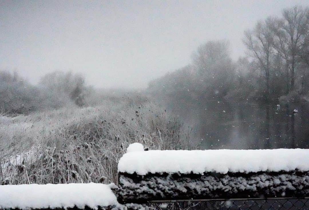 イリース・ケロンド・ナイトさんのインスタグラム写真 - (イリース・ケロンド・ナイトInstagram)「Winter arrived with a bang ⚡️ and here I was caught in it. Much preferring snow to sludge 😍🤩.   @teds_cameras @sonyaustralia  #kellondknightphotography」1月15日 0時11分 - elise_kk8