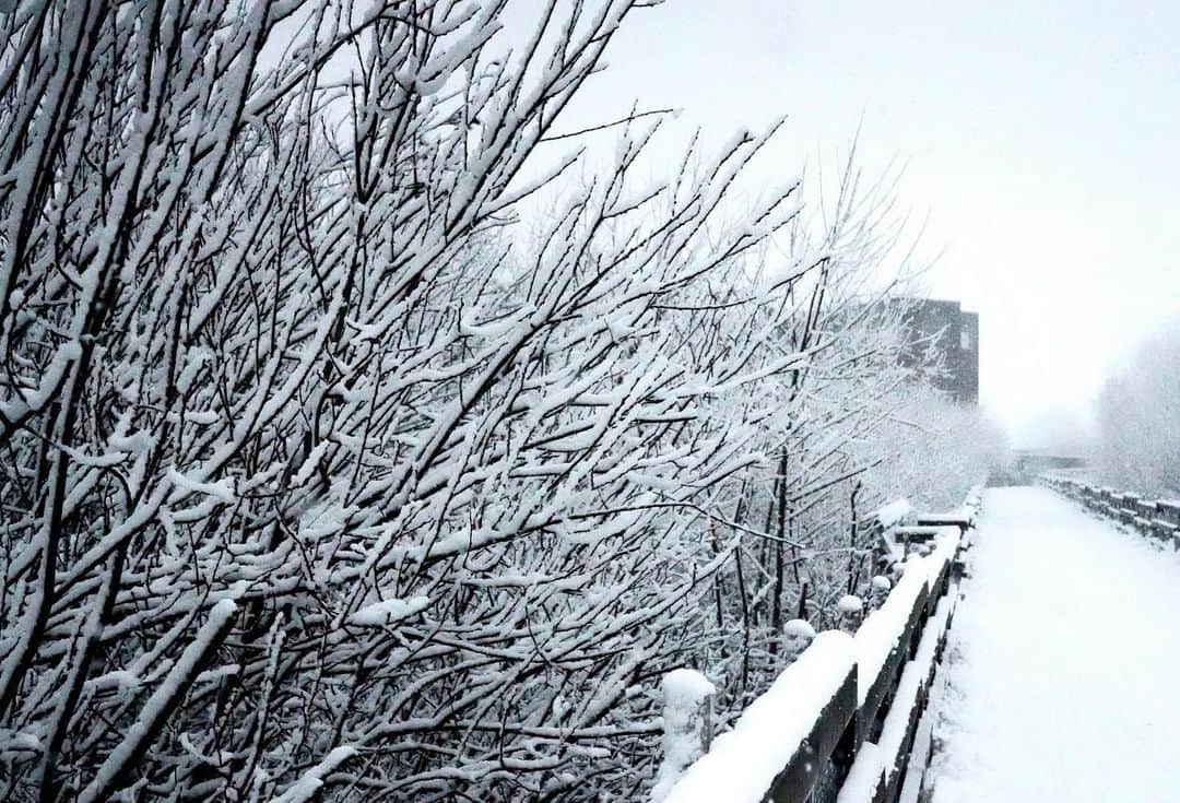 イリース・ケロンド・ナイトのインスタグラム：「Winter arrived with a bang ⚡️ and here I was caught in it. Much preferring snow to sludge 😍🤩.   @teds_cameras @sonyaustralia  #kellondknightphotography」
