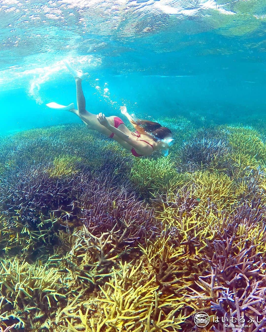 HAIMURUBUSHI はいむるぶしさんのインスタグラム写真 - (HAIMURUBUSHI はいむるぶしInstagram)「小浜島・はいむるぶしから癒しの風景をお届けします。 国内最大のサンゴ礁「石西礁湖」は、世界最大のサンゴ礁「グレートバリアリーフ」よりも多い、400種類以上の造礁サンゴや多種多様な海洋生物を育む豊かな海域です。 その美しいサンゴ礁の海をシュノーケルで満喫できます。 #沖縄 #八重山諸島 #小浜島 #サンゴ #海 #シュノーケル #ツアー #リゾート #ホテル #はいむるぶし #japan #okinawa #yaeyama #island #coral #sea #snorkeling #resort #hotel #haimurubushi」1月15日 0時18分 - haimurubushi_resorts