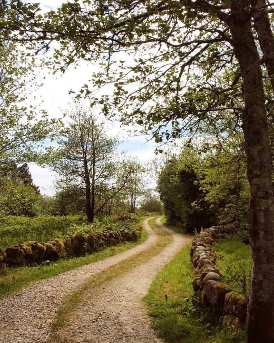フランク&アイリーンのインスタグラム：「Waking up and wishing we could take a walk through the beautiful greenery of Galway. #FrankandEileen⁠ .⁠ .⁠ .⁠ photo by: @cnoc.suain」