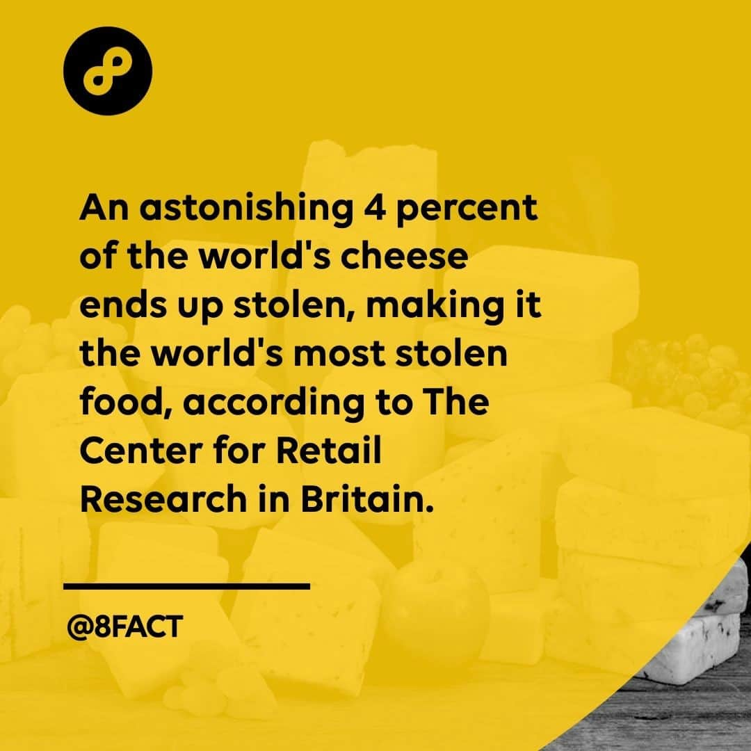 さんのインスタグラム写真 - (Instagram)「🧀」1月15日 0時35分 - 8fact