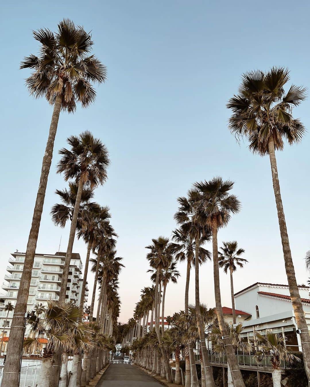 Rimiのグルメインスタ