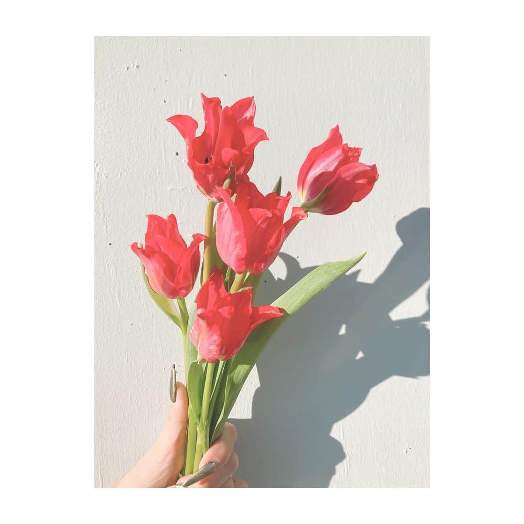 串戸ユリアのインスタグラム：「Hello 2021🌱  年末から歩く絶不調みたいな 感じでのたうちまわり、 年を明けても まったくぱっとせず 最悪な精神状態に 体調悪いやつ代表みたいな ツラを引っ提げて 廊下をうろちょろしてたのですが、  昨晩お仕事終わってすぐふて寝して 見たんです、夢を。  まったくスピれないわたしがなぜか 精神世界みたいなものを 旅をし、 トイレの花子さん的な女の子との 境界線みたいなものを 線引きし、 生き霊みたいなものと ド派手に246でカーチェイスをし、 LA時代のトラウマ(？)みたいな 銃撃戦を余裕で勝利し、  その後 ピアノの黒いところを 弾くとき 弾かないときみたいな違いを なぜか 相対性理論となんらかの数式みたいなやつ(中学生のときに習うやつ) で理解し、 月光と小フーガト単調を 足して二で割ったようなものを 演奏したあとに、 人生というものや、 自分と向き合うこと、 自分の気持ちの切り替え方、 はたまた生きる意味みたいな ものを全てクリアに理解し 実行する夢を見たんです！！  夜中にふっと目が覚め 明日からはきっと！！！ と思って二度寝したら すっかり全て、 大切なところだけ忘れました。  そんなことで悩んでても 2021年、 ロクなもんにならなそうなので、 諦めました！！！  皆様 お久しぶりです！！ 生きてますか？的な連絡をいただきますが、生きてます！ ありがとうございます。 そして返信まだおいついていなくて すみません🙏  色々あって デジタルデトックスしてました。 といっても時計を持っていなく 不便すぎるので 携帯は携帯してしてましたが。  皆様新年どうお過ごしでしょうか？ こんなわたしですが、 今年もよろしくお願いいたします！  写真は 一昨日買ったチューリップ🌷 うめちゃんに引っ越し祝いで いただいた一輪挿しに 一輪つぼみを選んで 飾って、咲く過程を観察しようと思ったのですが、 飾る前、次の日には 見事に満開でした。笑  皆様にとって 素敵ないちねんになりますように🙏  #2021  #HappyNewYear #MUSTBE #lol #😂  #初夢の話ではない #正夢になるならそれはそれでよい #ピアノ弾きたい」