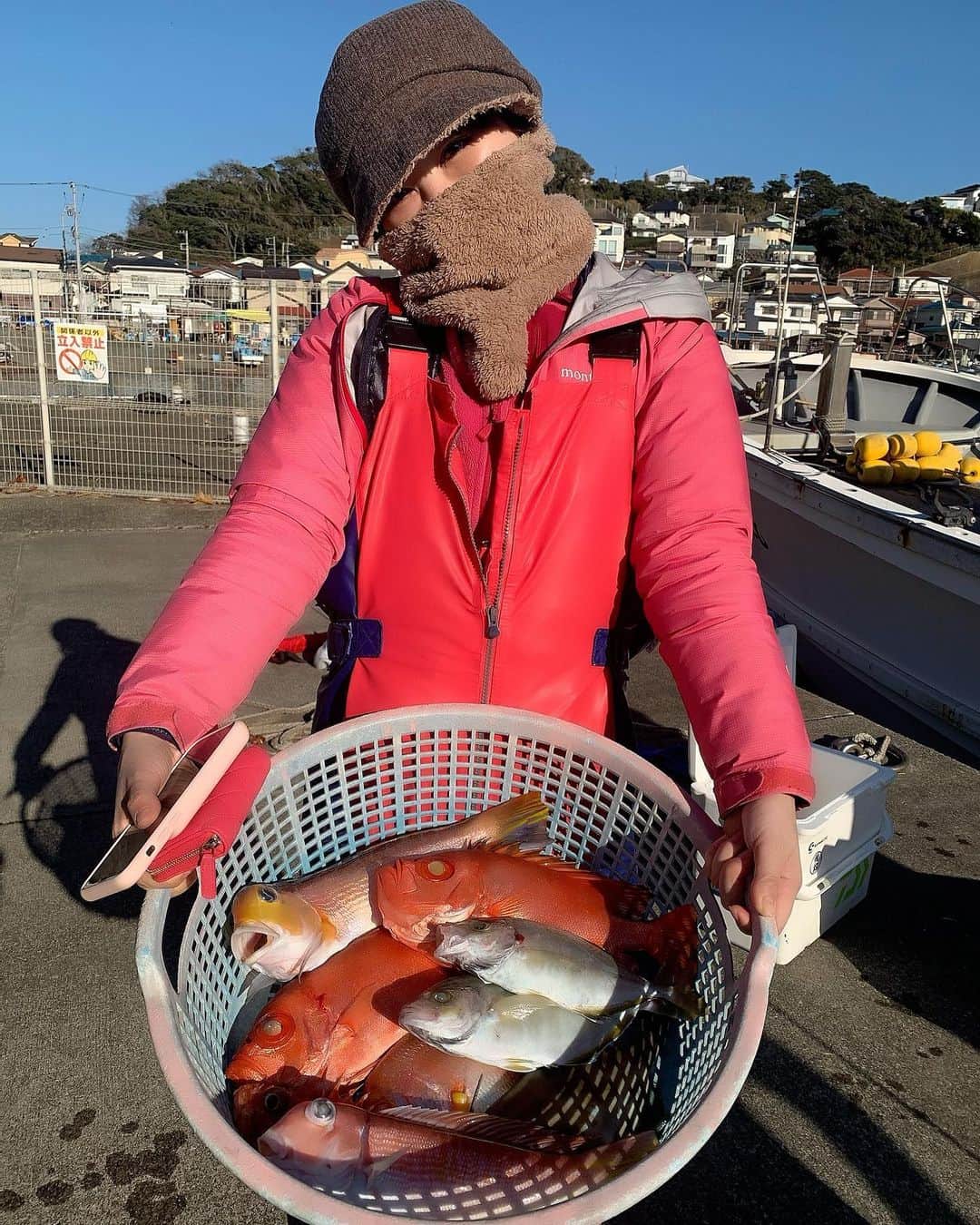 里美ゆりあのインスタグラム：「映え❤️  今日は相模湾の椿丸さんで甘鯛と メンコダイとチカメキントキが釣れました^ ^ カイワリはまたの機会に😌 ここの船宿さんはお昼にカップラーメンにお湯を入れて持ってきてくれるサービスがあったり色々無料レンタルもあったりと釣り初めての初心者さんにも安心の船です^ ^ 船長さんも若い頃の吉幾三さん似の優しい方で素敵でした😄  ヒレが、結構刺さって痛かったけど なんとか血抜き出来たよ😀  今日使った竿は剛樹のシマアジリミテッド😄 リールはシマノのビーストマスター2000を使いました😊  まだまだ釣り始めて2年目の初心者で すが釣りの関係者の皆様、釣り仲間の皆いつもありがとうございます！！  お魚さんや周りの人に感謝して今日も 美味しく命を頂きます。  #釣り #釣り人 #里美ゆりあ #相模湾 #椿丸 #甘鯛 #レンコダイ #チカメキントキ #カイワリ #ヒメ」