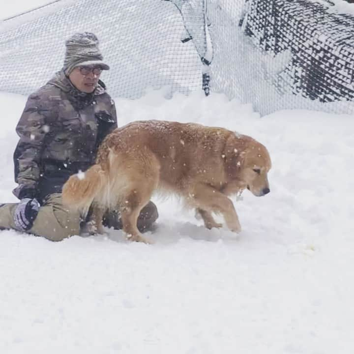 鈴井貴之のインスタグラム