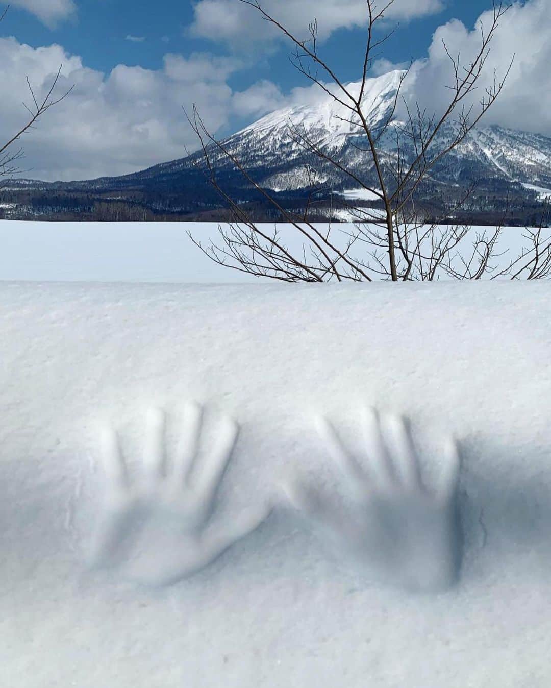 知英さんのインスタグラム写真 - (知英Instagram)「Hokkaido, 2019 ❄️」1月14日 16時18分 - kkangjji_