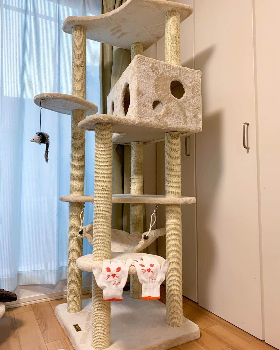 プンクマさんのインスタグラム写真 - (プンクマInstagram)「ようやく新しいキャットタワーが来た。 思ったよりも大きくて狭い部屋が更に狭くなってしまった。 さて、組立作業中もグースカ寝ている猫達の反応は如何なものか？笑 #キャットタワーmau #キャットタワー」1月14日 16時18分 - pnkm913