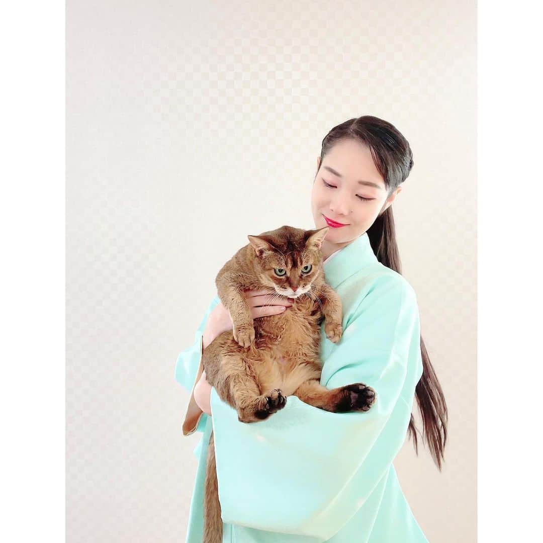 花柳まり草のインスタグラム：「2021.1.14 みなさま🌸🌸🌸 大変遅れの遅れの遅ればせながら！ 本年も宜しくお願い申し上げます😌💖✨  あっという間に一月も半分が過ぎようとしております。  旧年中は割とSNSを更新していたので、仕事先でご一緒の方やお弟子さん達に『先生、大丈夫でしたか？！』とご心配をおかけしてしまいました😅  すみません、この通り、私はちゃんと生きております‼️  虎視眈々とサバイヴしております‼️‼️  こういう出来事があるにつけ 『私自身よりも、よっぽど周りの皆様の方が《私》という人間のことを気にかけて下さっているなぁ』 と大変ありがたく思います。  新しい年、皆様はどんな風にお過ごしになっていらっしゃいますか？？ どんな風にお過ごしになりたいですか？？  私自身は悪魔みたいな人間ですが（母談）、私の周りにいらっしゃる皆様は本当に素敵な方ばかりです😌💖  SNSで応援して下さる皆様も、優しくて温かくて。 気まぐれ更新で大変申し訳なく思っておりますが、いつもいつも励まして下さいます🙇‍♀️🌸  そんな皆様が笑顔であるように、 『幸せだな』と感じる瞬間が沢山ある様に、 心から願ってやみません。  私が出来ることは、少しずつそんな皆様に《恩返し》をすることなのでしょうか。  踊ること、表現すること、伝えること、天から頂いた使命と生命を全うすること。  自分にできることは限られているし、それすら多分満足に出来ません💦  でも、やり続けることは出来ます。  私の周りには、時を重ねるにつれてどんどん素敵になられる方や、変化を遂げて羽ばたいている方が沢山いらっしゃいます。  そんな方を目の当たりにするにつけ、大きな勇気を頂きます。 ありがとうございます。  大好きな皆様、身体にはくれぐれもお気をつけて、素敵な一年をお過ごしください😌💖✨✨✨  #猫 #ねこすたぐらむ #猫のいる暮らし #cat #catstagram   #日本舞踊家 #日本舞踊  #舞台 #芸術 #習い事 #踊り  #着物 #kimono #宝塚 #宝塚歌劇団 #宝塚og #花柳まり草  #art #art_of_japan #dance #japanesedance #japanesedancer #kimono #fashion #takarazuka #love #marikusahanayagi」