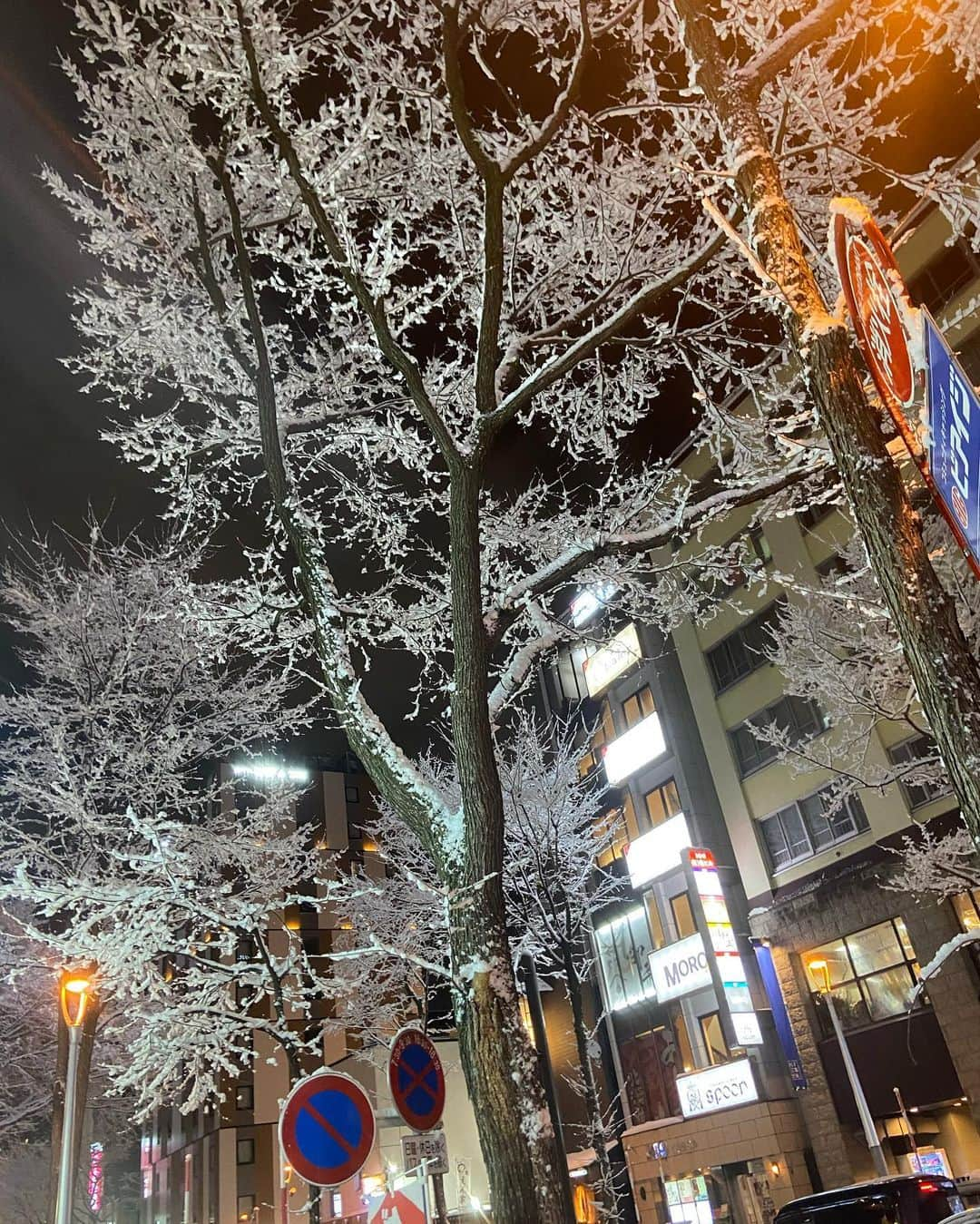 北山美奈さんのインスタグラム写真 - (北山美奈Instagram)「#雪景色#雪化粧 綺麗だったぁ☺️✨❄️❄️ ススキノでハンバーグ屋さんないかな？って探してて、穴場見つけてきました🙋🏼‍♀️ ママ（お母さんくらいの）が面白かった🤗」1月14日 16時38分 - rin_minakitayama