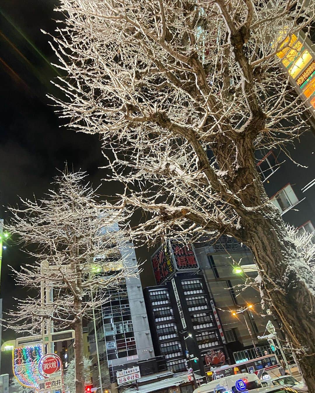 北山美奈さんのインスタグラム写真 - (北山美奈Instagram)「#雪景色#雪化粧 綺麗だったぁ☺️✨❄️❄️ ススキノでハンバーグ屋さんないかな？って探してて、穴場見つけてきました🙋🏼‍♀️ ママ（お母さんくらいの）が面白かった🤗」1月14日 16時38分 - rin_minakitayama