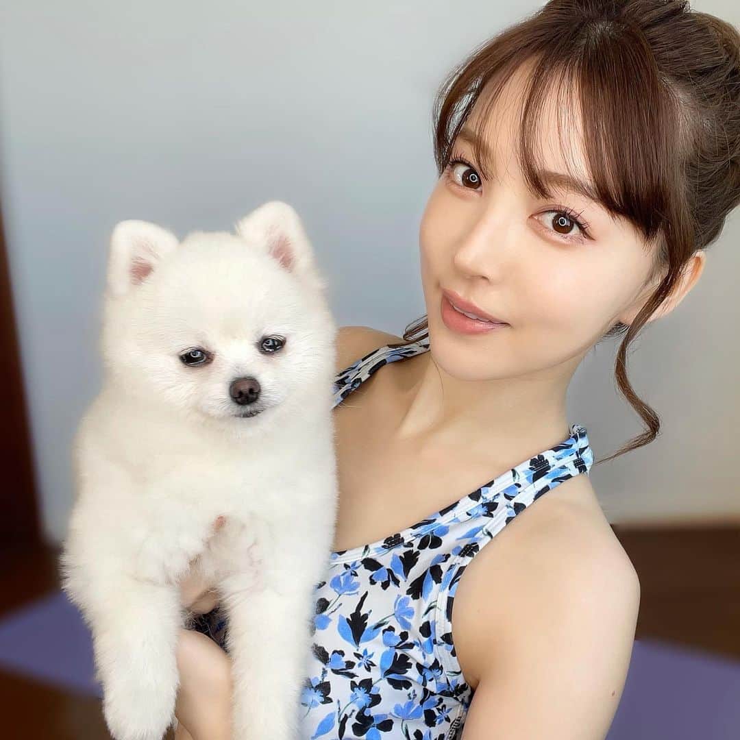 のインスタグラム：「うるうるな🐻‍❄️🤍 くりまるとYouTubeの撮影をしたよ🎥 わんちゃんと一緒にできるヨガをご紹介します🌿 公開お楽しみに✨」