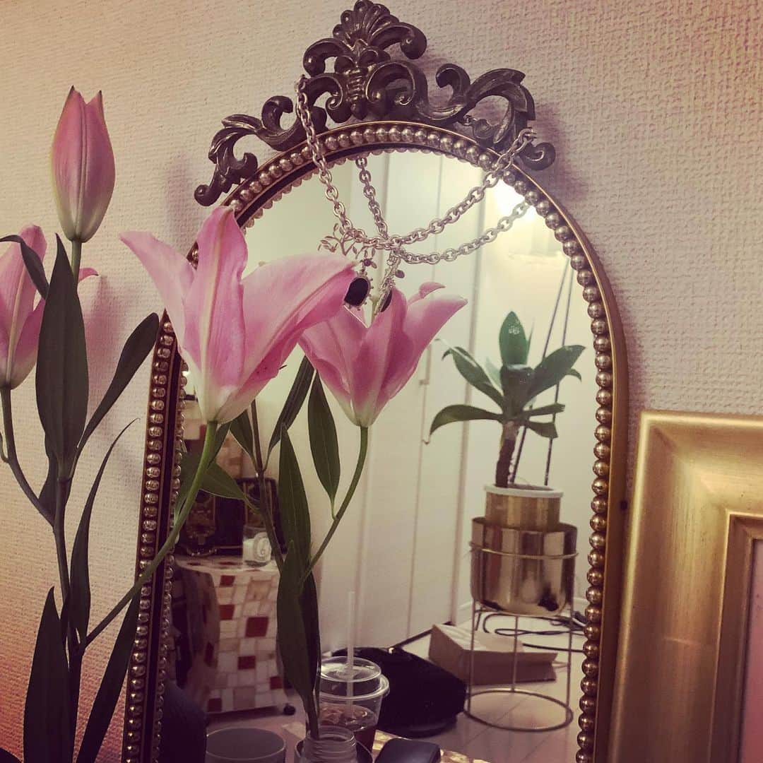 LiLyさんのインスタグラム写真 - (LiLyInstagram)「カタチが似てる。  #ピンクとグリーン #リリ部屋」1月14日 17時15分 - lilylilylilycom
