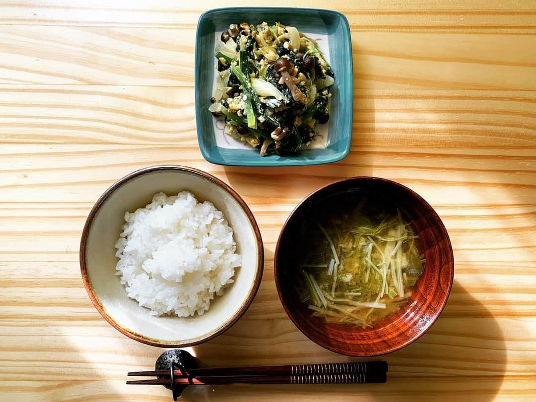 篠原理沙のインスタグラム：「一汁一菜🍚🥬 最近の私のご飯はコレです💛 ご飯と味噌汁は必ず食べて、 もう一品はその日の気分で変えています✨ 味噌汁は飲む点滴✨ おかげで肌が綺麗になったかも😳  #一汁一菜 #一汁一菜が基本 #三食きっちり #基本が大事 #日本人と繋がりたい #日本が好き #やっぱり日本食 #和食ごはん #やっぱり和食 #和食 #和食献立 #庶民的 #昭和的 #昭和 #大正 #明治 #レトロ #写真 #写真好きな人と繋がりたい #写真で伝えたい私の世界 #写真撮ってる人と繋がりたい #日本料理 #一汁一菜でよいという提案 #ごはん記録 #ごはん日記 #ダイエット #美容液 #美容 #健康第一 #健康ごはん」