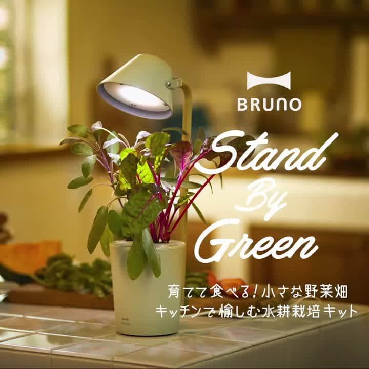 BRUNOのインスタグラム