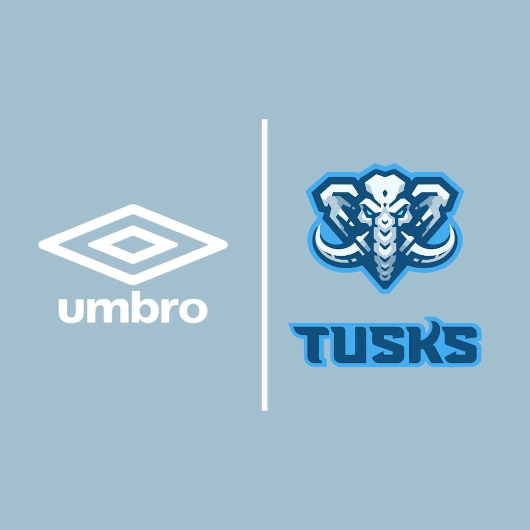 UMBROさんのインスタグラム写真 - (UMBROInstagram)「We are pleased to announce a new partnership with @tuskfootball 🤝. Looking forward to supporting the growth and development of the game in Kenya 🇰🇪.   Welcome to the Umbro family💎.  #umbro #umbrofootball #football #africa #africanfootball」1月14日 18時14分 - umbro