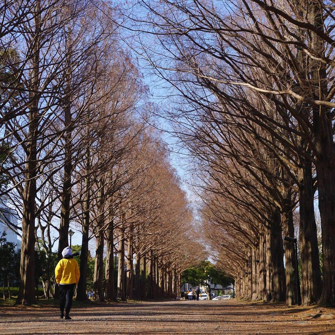 平塚市のインスタグラム