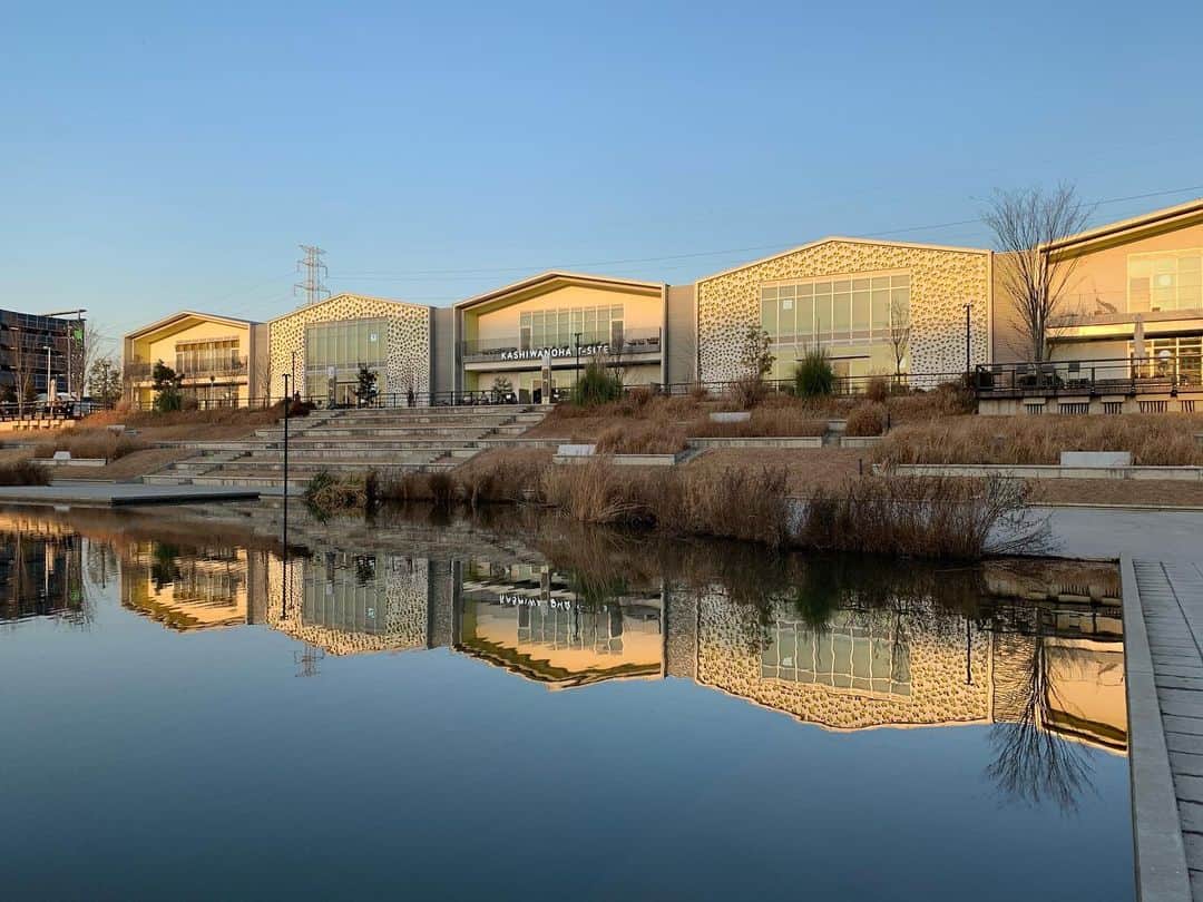 柏の葉 T-SITEのグルメインスタ