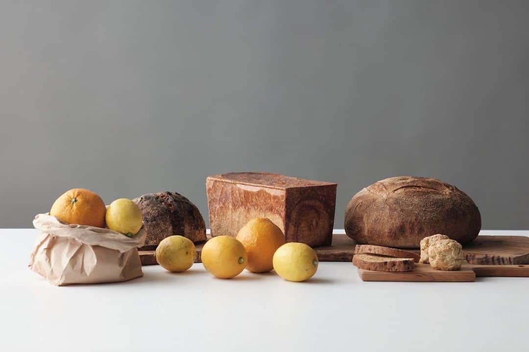 ヒラハルのグルメインスタ