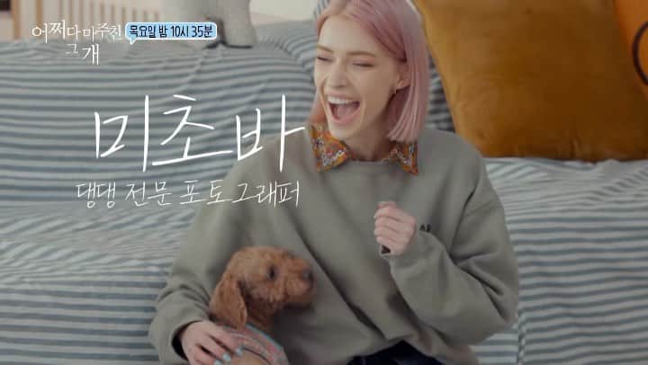 ステファニー・ミチョヴァのインスタグラム：「오늘 밤 (1월 14일 목요일) 오후 10:40시 SBS <어쩌다 마주친 그 개> 마지막회에서 만납시다 ❤️ See you tonight on SBS 10:40PM!!」