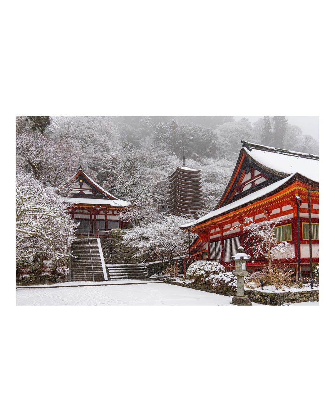 Koichiさんのインスタグラム写真 - (KoichiInstagram)「Red in pure white  雪に包まれると、 様々なものの色が消えていく。 静寂の社に白と朱だけが残った。  #BeautifulJapan #Hellofrom #Nara #談山神社 #奈良  .」1月14日 20時14分 - koichi1717