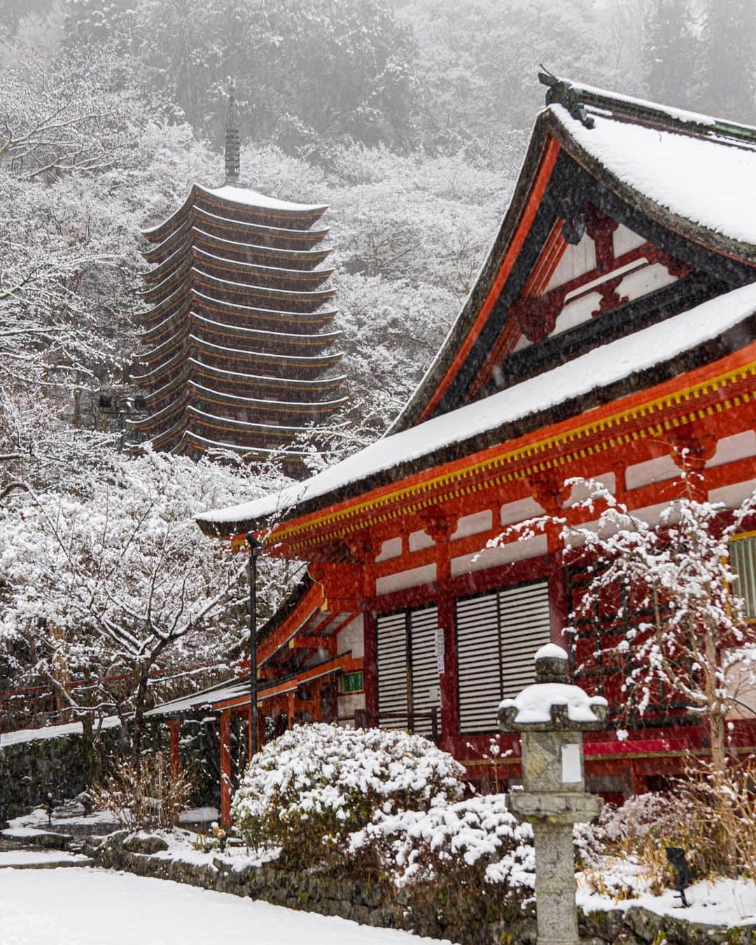 Koichiさんのインスタグラム写真 - (KoichiInstagram)「Red in pure white  雪に包まれると、 様々なものの色が消えていく。 静寂の社に白と朱だけが残った。  #BeautifulJapan #Hellofrom #Nara #談山神社 #奈良  .」1月14日 20時14分 - koichi1717