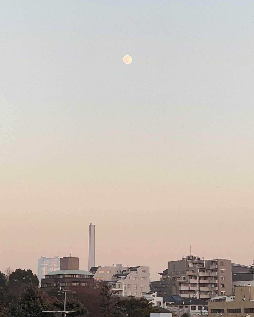 NittaSachikaのグルメインスタ