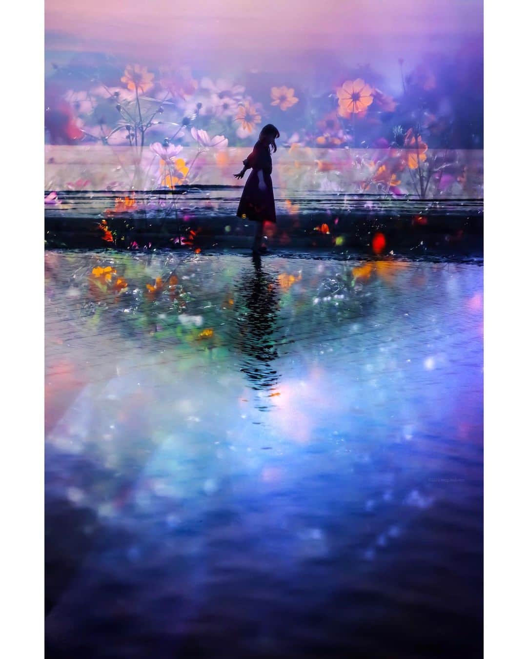 メグのん♡ A k i k oのインスタグラム：「✧冬の瑠璃色 The night was a beautiful azure color . . . 日頃の ピリピリしたムード😷から逃避して ぼんやりiPhoneを触っていたら、 この写真ができました✧ . . . ✧」