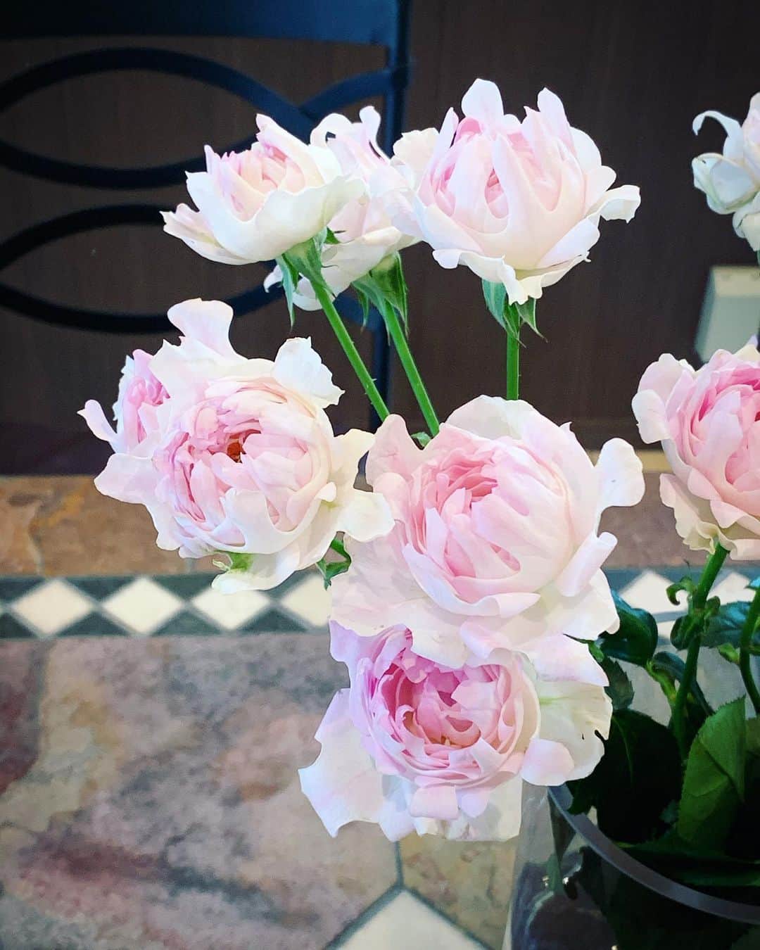 チャン・リーメイさんのインスタグラム写真 - (チャン・リーメイInstagram)「今日のボクはピンクの気分💞 ✴︎ 素敵なバラと、 ✴︎ コーディネート☺️✨ ✴︎ お花屋さんにも、 ✴︎ 春らしいお花が並び始めましたネ💓 ✴︎ まだまだ寒いですが、 ✴︎ 春は近づいています💐 ✴︎ #ピンクコーデ #シーアネモネ #男のピンク #ポメラニアンミックス #dogslover #pomeranianmix #nodognolife #花と犬シリーズ」1月14日 20時39分 - limeichiang