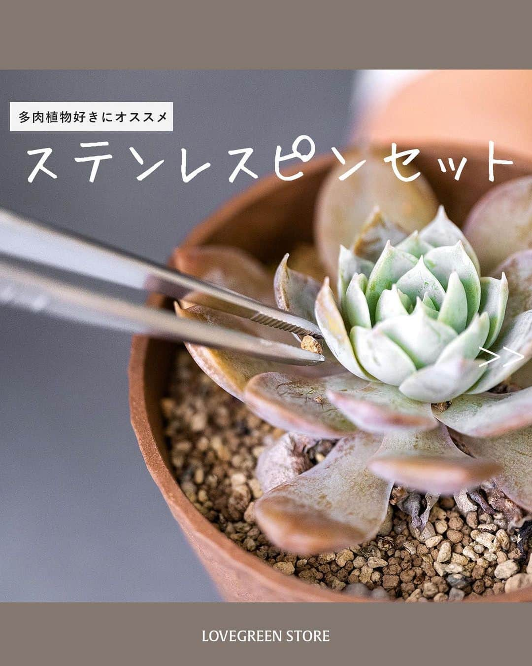 LOVEGREEN -植物と暮らしを豊かに。のインスタグラム