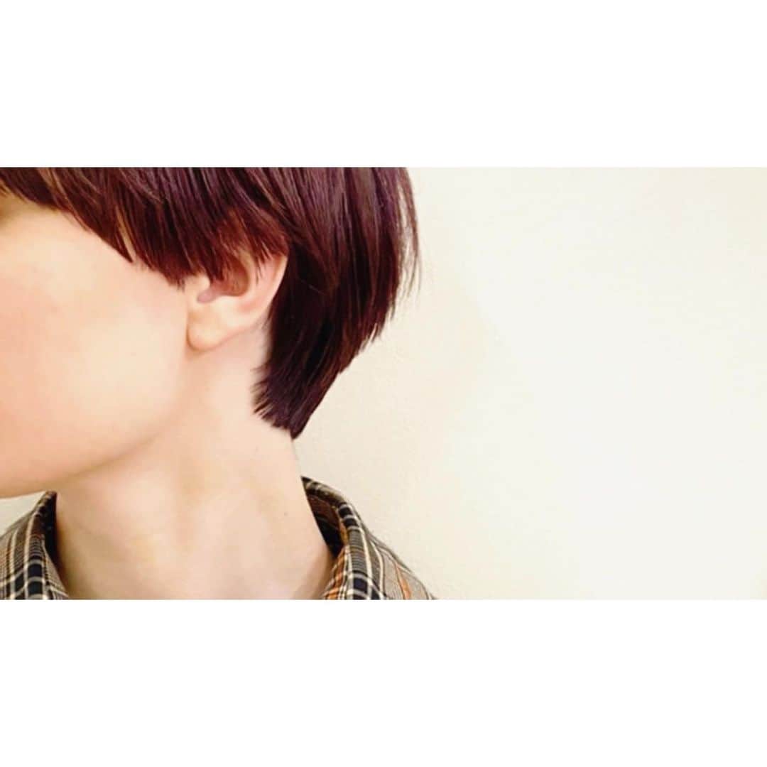 veticaさんのインスタグラム写真 - (veticaInstagram)「▼ vetica guest hair▼  骨格に合わせてカットされたマッシュスタイルにピンクパープルカラー🌿 艶と柔らかさをプラスすることで、その人のキャラがたつオシャレショートに。  hair阿部　@chikara_abe0926   #vetica #tokyo #harajuku #ladys#beauty #hair #cut #color」1月14日 21時11分 - veticatokyo