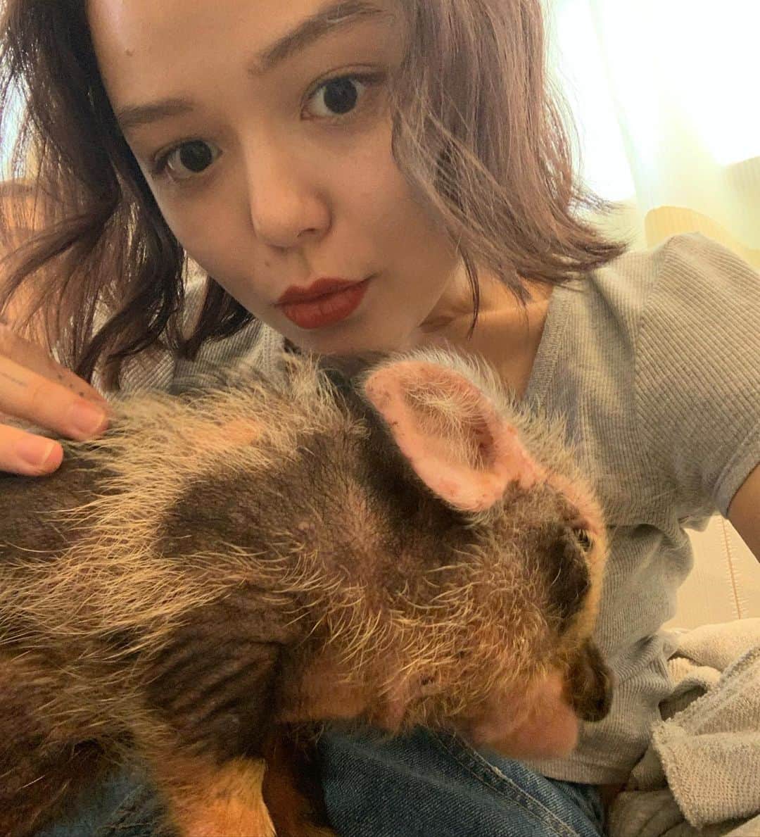 maya kibbel キベルまやのインスタグラム：「Thank you @meli.thepotato for always making life so full of love & fun ♥️ (these pigs were & are  very carefully taken care of, before people start to think negatively.)」