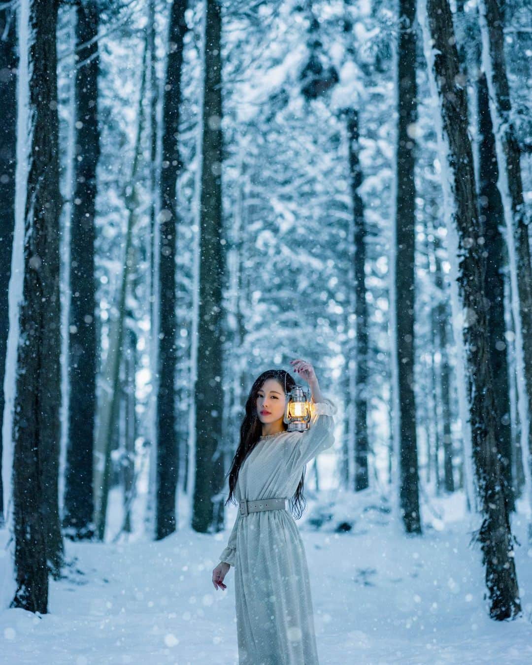 shabonのインスタグラム：「* . . . . . ❄⋆* . . . . . *  #igersjp #tokyocameraclub #東京カメラ部 #team_jp_ #GPW_members_only #as_archive #indies_gram #photo_shorttrip  #art_of_japan_ #ig_phos #daily_photo_jpn #visitjapanjp #nowherediary #jp_mood #whim_life #moodygrams #reco_ig #japan #japan_daytime_view #1x #bealpha #vivid_impact #sonyalpha  #snow #雪 #worldviewmag #ギャラリームジン #1x_japan #岩手」
