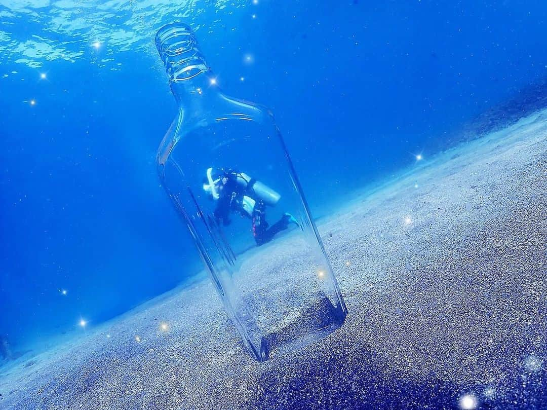 林檎蜜紀さんのインスタグラム写真 - (林檎蜜紀Instagram)「🧜‍♀️ダイビングライセンス取ることにしたよ🤿✨  http://free201041.com/shopchara/kameido/  ダイビング 投稿4回目‼️  やってきました海講習！  神奈川の海がこんなに綺麗だなんて知らなかったー❣️ 加工無しでこの透明度と綺麗さ凄い… これは実質沖縄🤔🐬  これは冬に講習始めるダイバーが多いのも納得です…凪で晴天。全然寒くなくて凄い笑 絶対寒いー😨っておもってたごめん、、  夏までに上手になって色んな所潜りに行きたい…🤿❣️  ダイビング 興味ある！ライセンスとりたいって方はわたしにdmしてくれたら紹介します💜 私から紹介っていうと、定価10万円が半額の5万円で講習可能です✌️✨  いまダイビング 講習は亀戸のfreeさんに今お世話になってますっ マンツーマンのレッスンでとにかく優しいので集団ついていけないかも…という方にも超オススメする！   @free_kameido さん(東京・亀戸)  @free_nagoya_2016 さん(名古屋) @diving_pro_shop_free_osaka さん(大阪) に、直接DMやお電話でお問い合わせも受付OKだそうです❣️  #実質沖縄  #free亀戸  #ダイビング女子  #free名古屋 #free大阪 #ダイビング #diving #海 #プール #ライセンス #🧜‍♀️  #japanesegirl  #asianbeauty  #瓶魚姫  #グラスマーメイド」1月14日 22時16分 - ringo_mitsuki