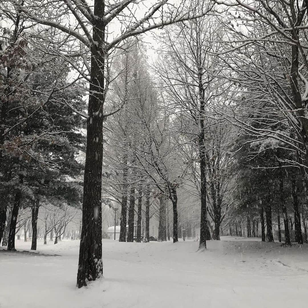 ヘミさんのインスタグラム写真 - (ヘミInstagram)「☃️❄️❄️🌲 . . . 이틀 전 눈 많이 왔던 날! 동생이 찍어서 보내줬어요 😀 눈이 펑펑  #겨울  영상에 깨알같이 보이는 #눈사람  귀여웡」1月14日 22時38分 - yesyesyelll