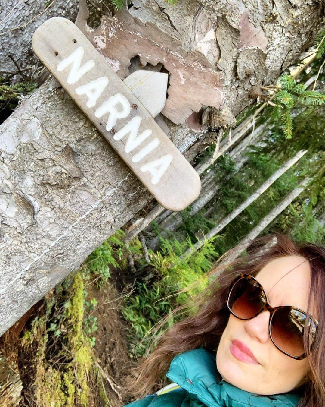 エミリー・スワローのインスタグラム：「How can you say no when a trail like this beckons? * #nolionswitchesorwardrobeswerespottedinthehikingofthistrail #pacificnorthwest #themountainsarecalling #thechroniclesofnarnia #lazysunday #pnw」
