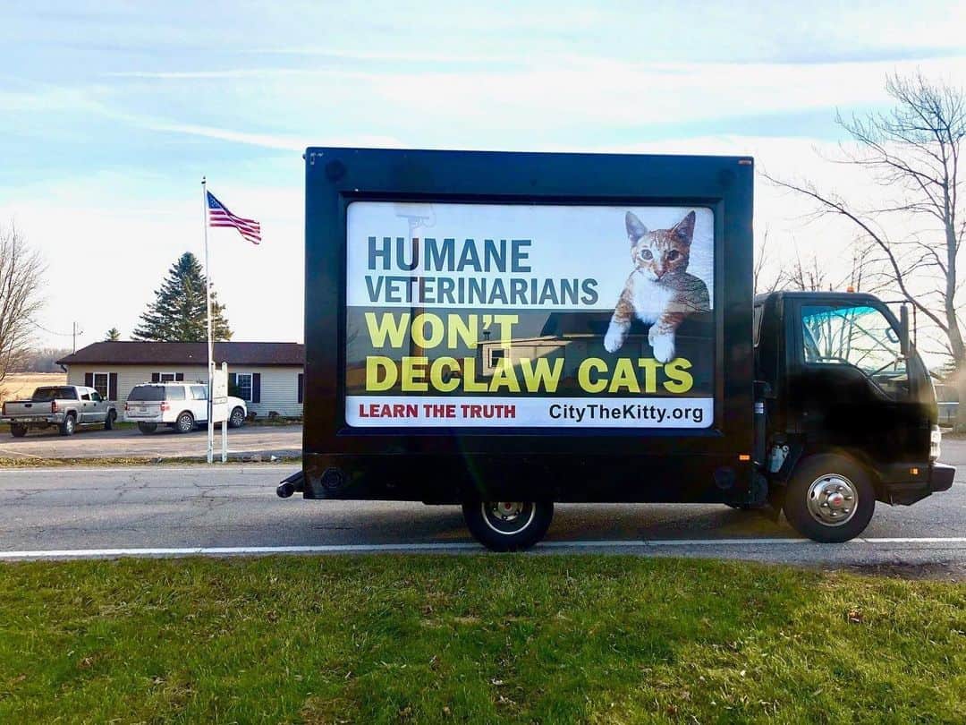 City the Kittyさんのインスタグラム写真 - (City the KittyInstagram)「Remember when our mobile billboard truck stopped in front of @thedrpol veterinary services in Weidman, MI in 2019?🐾  Unfortunately, according to an employee at Dr Pol's veterinary services in Dec. 2020, Dr Pol and his 4 vets are still declawing cats. A two paw laser declaw is $210. 😾😾😾😾😾😾😾😾😾😾  Please take 60 seconds and sign our Dr Pol petition that’s on our Instagram bio link or at citythekitty.org. Your voice matters! 🐾🐾 🐈   Also please send a polite email to Disney Plus- responsibility@twdc.com and Nat Geo Wild- pressroom@natgeo.com and ask them about this important issue since they are the ones who have Dr Pol's show on TV.  If you get a reply, please send it to citythekitty@gmail.com ❤️  #DrPol #thedrpol #natgeowild #natgeo #DisneyPlus #dotherighthing #declawing is #animalcruelty #weidman #michigan #drpol50   Always take the high road, be polite, and educate.」1月15日 9時14分 - citythekitty