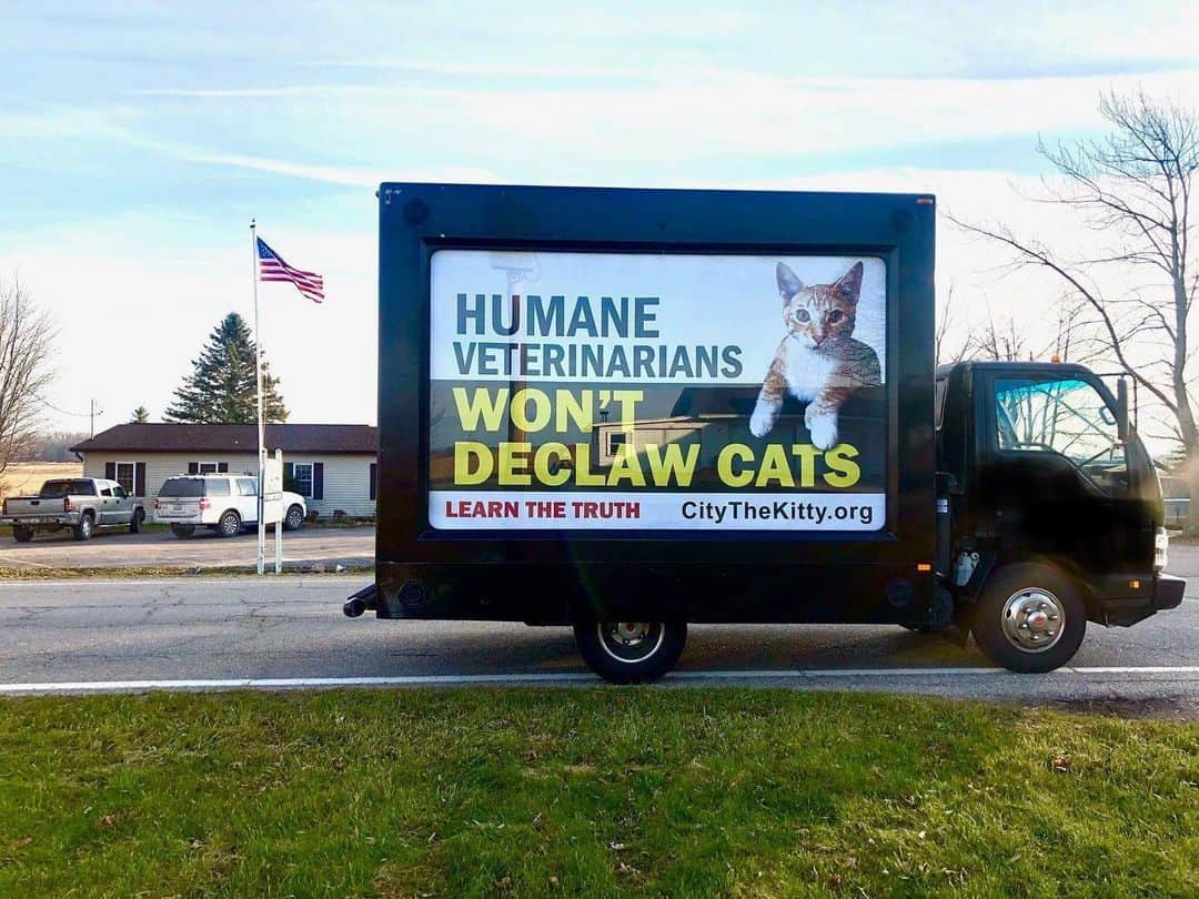 City the Kittyのインスタグラム：「Remember when our mobile billboard truck stopped in front of @thedrpol veterinary services in Weidman, MI in 2019?🐾  Unfortunately, according to an employee at Dr Pol's veterinary services in Dec. 2020, Dr Pol and his 4 vets are still declawing cats. A two paw laser declaw is $210. 😾😾😾😾😾😾😾😾😾😾  Please take 60 seconds and sign our Dr Pol petition that’s on our Instagram bio link or at citythekitty.org. Your voice matters! 🐾🐾 🐈   Also please send a polite email to Disney Plus- responsibility@twdc.com and Nat Geo Wild- pressroom@natgeo.com and ask them about this important issue since they are the ones who have Dr Pol's show on TV.  If you get a reply, please send it to citythekitty@gmail.com ❤️  #DrPol #thedrpol #natgeowild #natgeo #DisneyPlus #dotherighthing #declawing is #animalcruelty #weidman #michigan #drpol50   Always take the high road, be polite, and educate.」