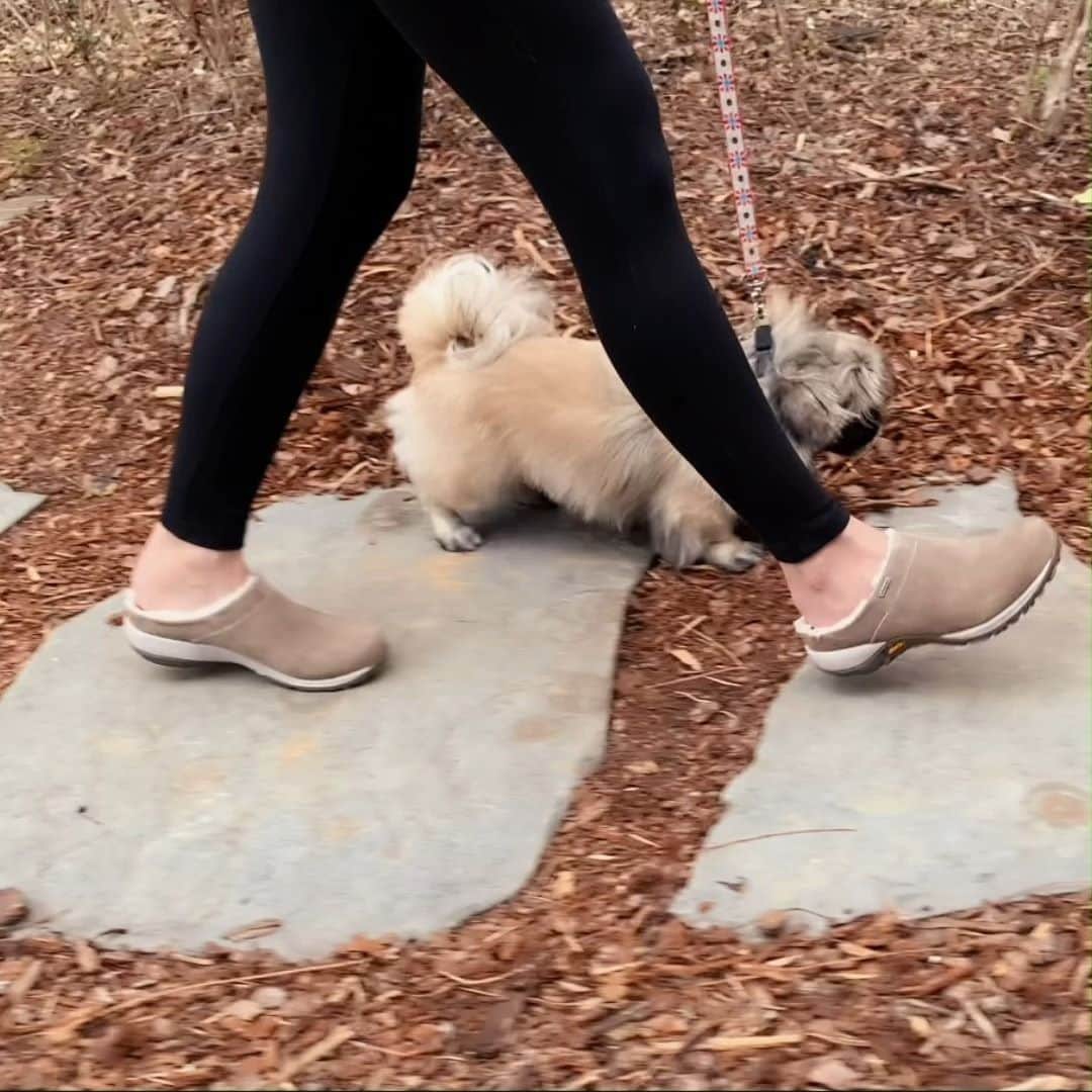 ダンスコのインスタグラム：「The paw-fect pair. Shop Parson on our website now.」