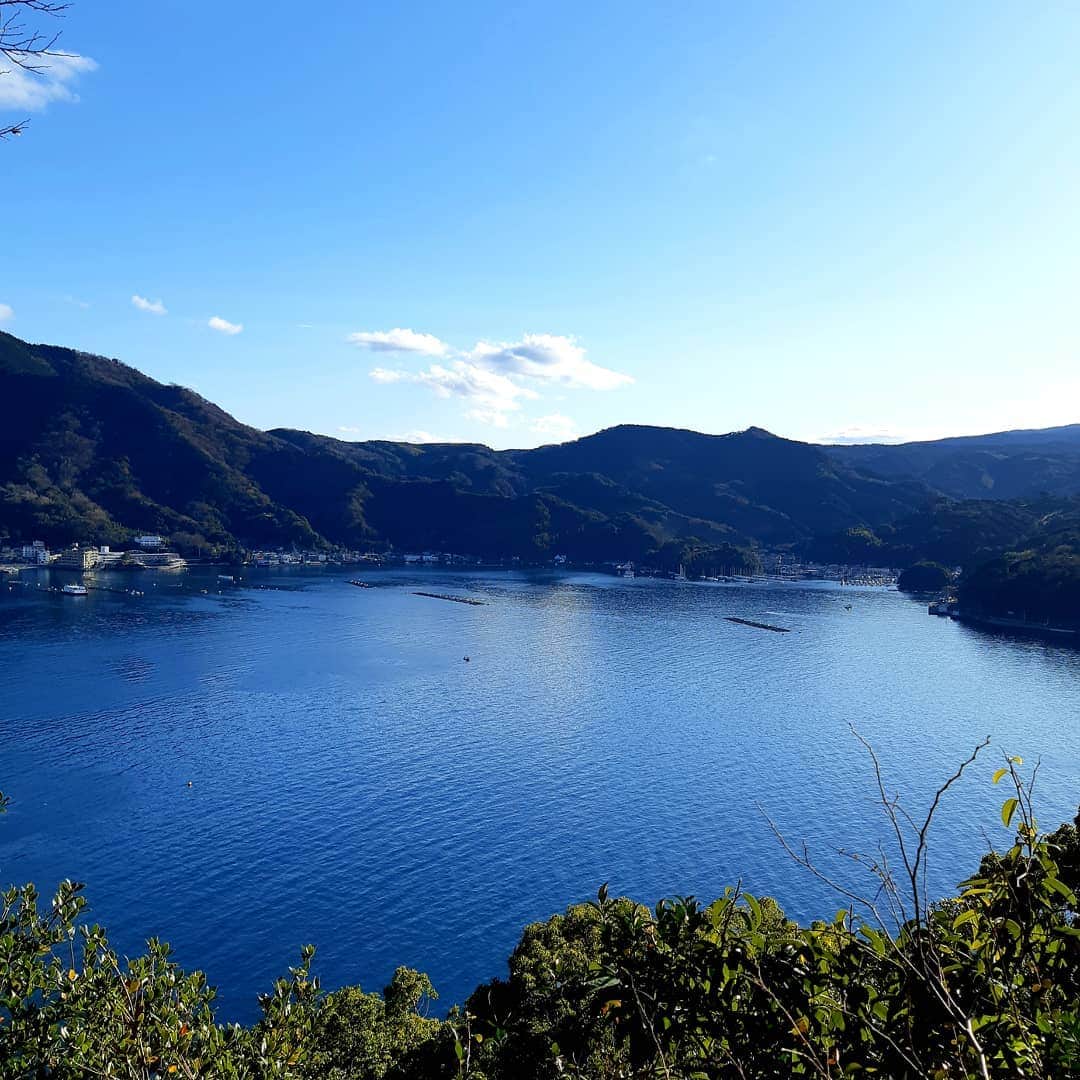 のインスタグラム：「淡島の頂上に鎮座する淡島神社への道のりはとても気持ちの良い散策道となっております。森の中を進み、時々木間から見える景色には思わず立ち止まりたくなります。 お写真はその中の「ロックテラス」(道中には案内看板もございます)からの景色をお届けします。※2/7まで臨時休館となっております。  #淡島 #散策 #神社 #神社めぐり #パワースポット神社 #開運 #お散歩 #西伊豆 #伊豆 #駿河湾 #富士山 #綺麗な海 #森林浴 #沼津 #内浦 #沼津港 #三島 #高級ホテル #travel #オーシャンビュー #スイートルーム#wyndhamgrandawashima #wyndhamgrand #wyndham」